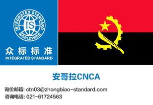 安哥拉羅安達(dá)電子貨物跟蹤單（ECTN）的國(guó)內(nèi)貿(mào)易代理服務(wù)全解析
