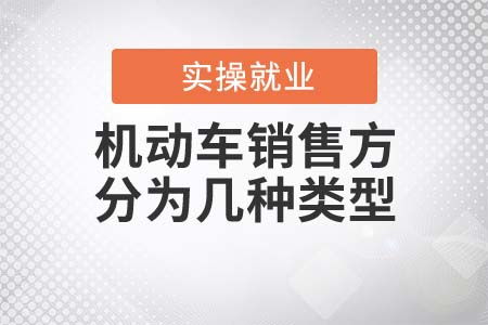 機(jī)動(dòng)車銷售方類型解析 聚焦國(guó)內(nèi)貿(mào)易代理