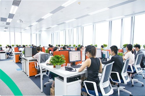 青島進(jìn)口香蕉干運(yùn)輸與貿(mào)易指南 外貿(mào)入門與國(guó)內(nèi)代理全解析